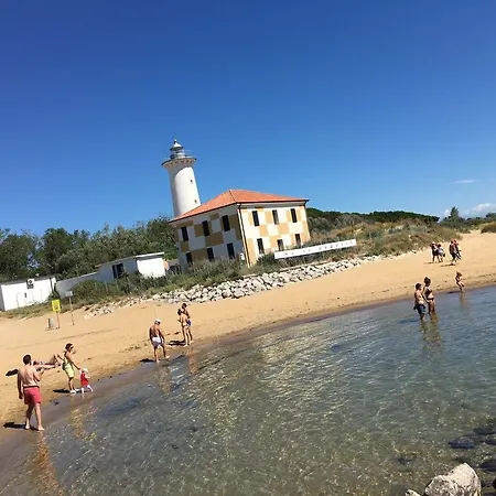 Narcisi Bibione